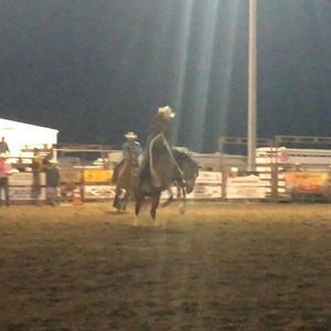 Meet your Posher, Dalton